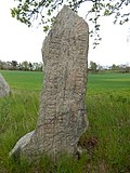 Thumbnail for Södermanland runic inscription 140