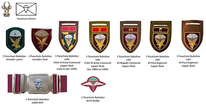 SADF era 1 Parachute Battalion insignia SADF era 1 Parachute Battalion insignia.jpg