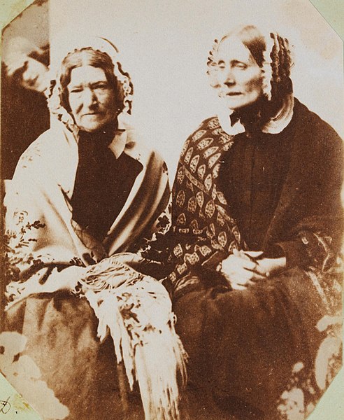 File:Sally and Mrs Reed (4095065677).jpg