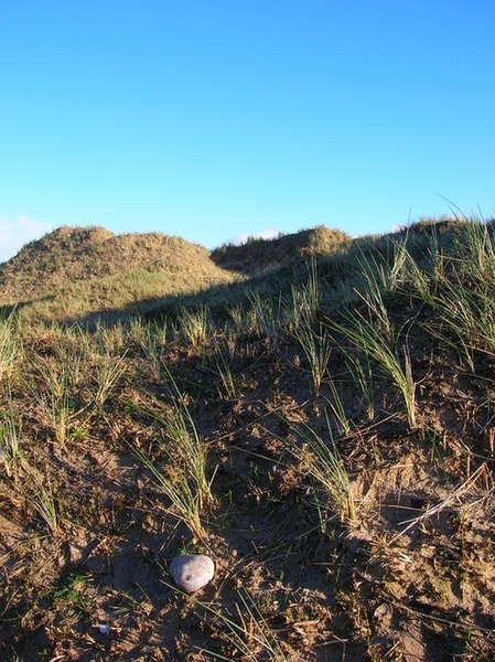 File:Sand Dunes, West Beach - geograph.org.uk - 734632.jpg