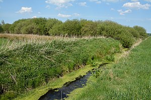 Schleswig-Holstein, Vaale, Vaaler Moor NIK 0425.JPG