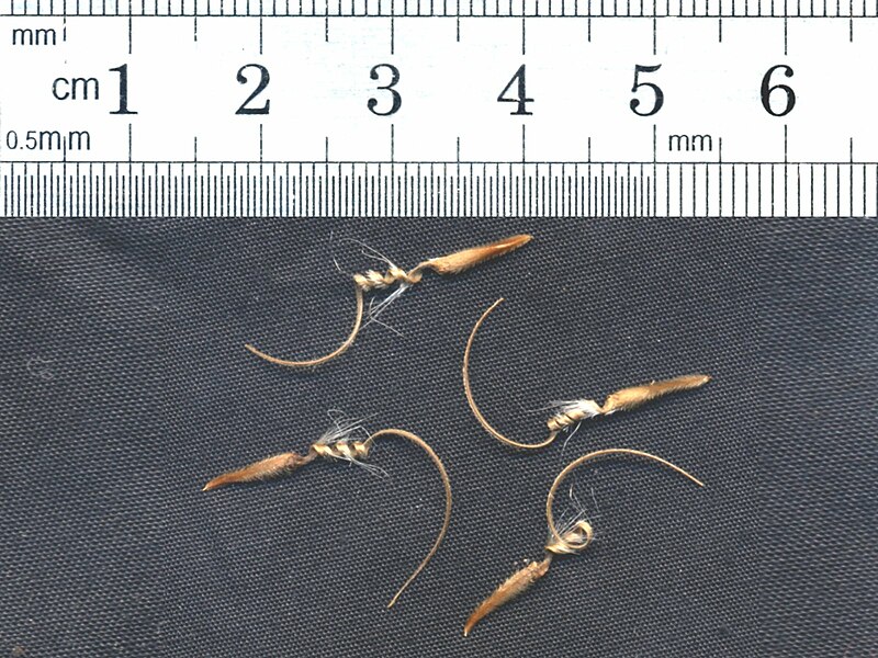File:Seed monsonia angustifolia.jpg