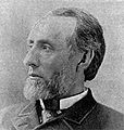 Shelby Moore Cullom, Gov. of Illinois 1877-83