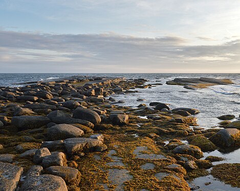 Port au Choix Shore