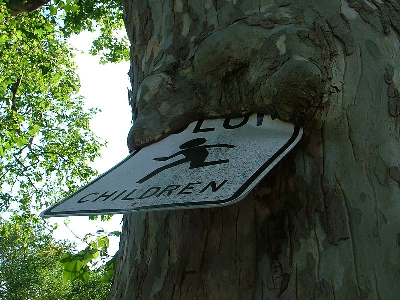 File:Sign in tree. 7.05.2011 - panoramio.jpg