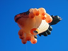 The balloon The Skywhale which was designed by the sculptor Patricia Piccinini and manufactured by Cameron Balloons during 2012 and 2013