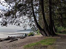 Sombrio Beach things to do in Juan de Fuca Provincial Park