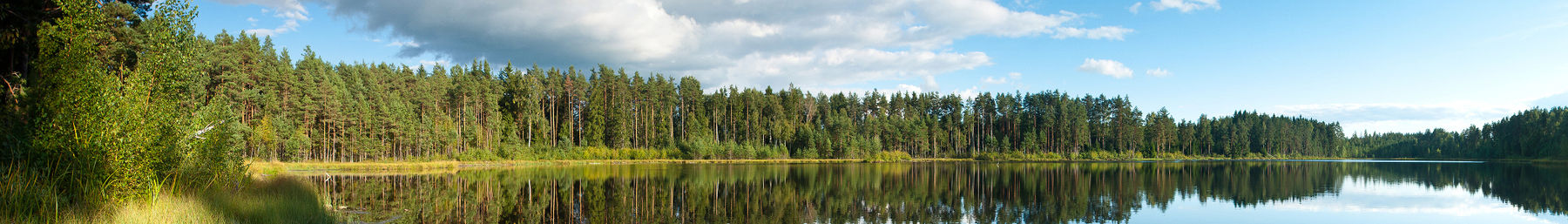 Southern Estonia banner.jpg