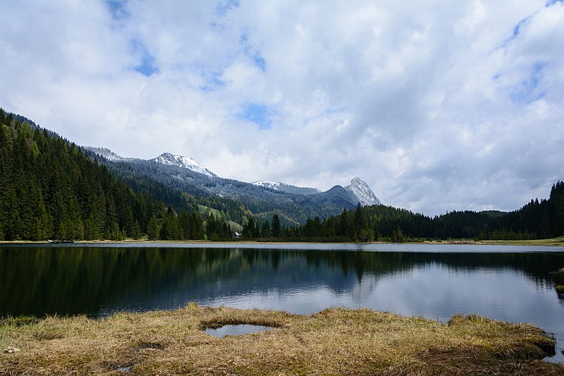 File:Spechtensee gegen Osten 04.JPG