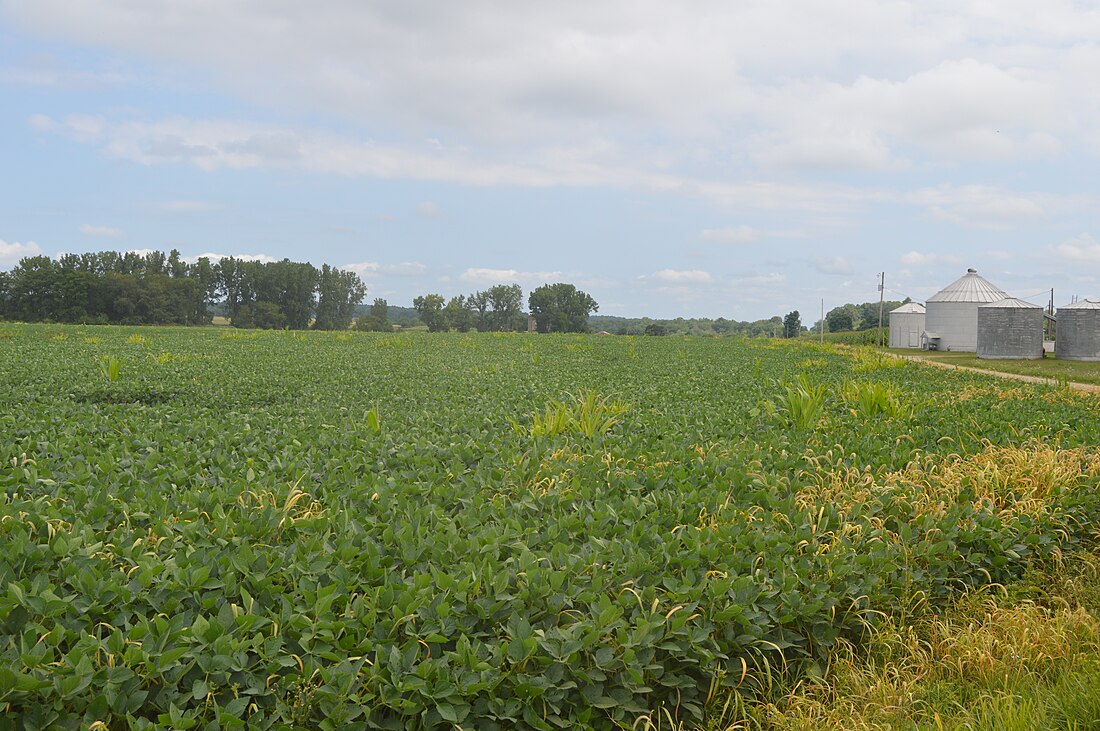 Morgan Township, Knox County, Ohio