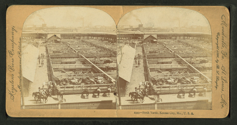 File:Stock yards, Kansas City, Missouri, by Keystone View Company.png