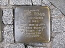 Stumbling stone Helene Roman, 1, Heiligkreuzgasse 22, city center, Frankfurt am Main.jpg