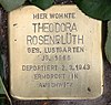 Stolperstein Luitpoldstr 22 (Schön) Theodora Rosenblüth.jpg