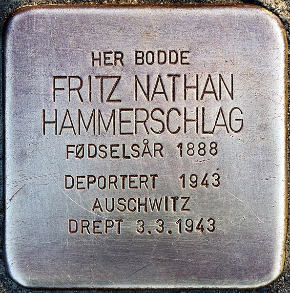 File:Stolperstein für Fritz Nathan Hammerschlag (Halden).jpg