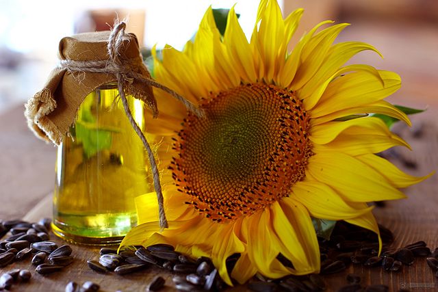 ACEITE DE GIRASOL BIO