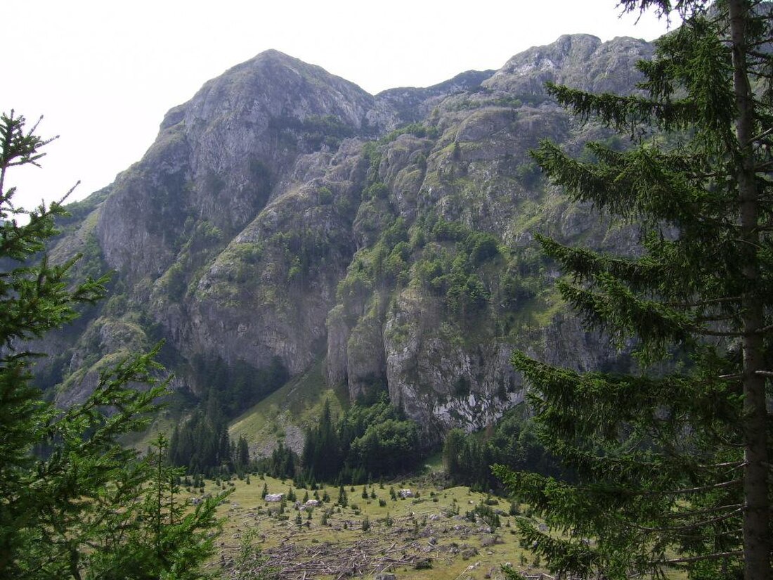 Sutyeska Milli Parkı