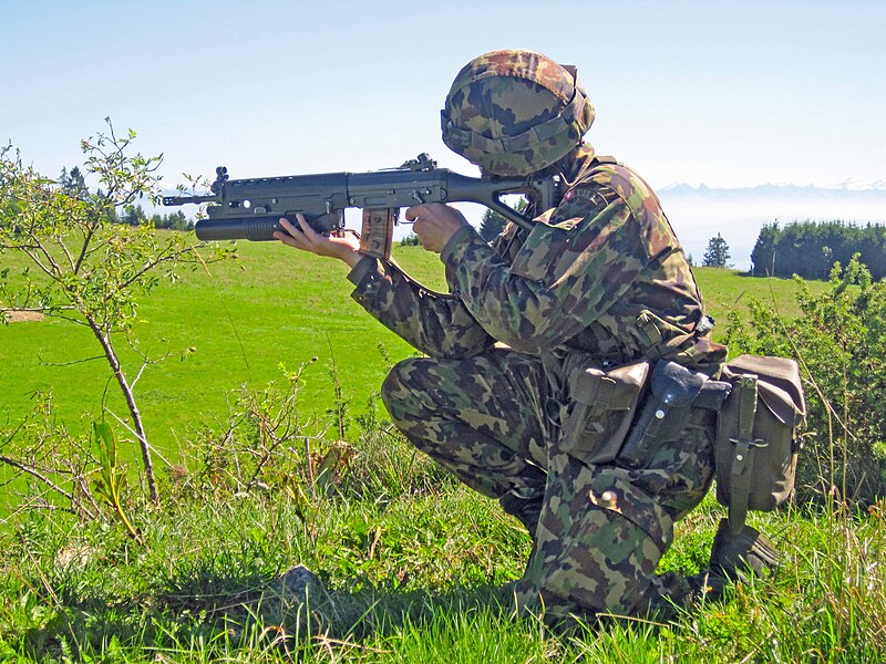 Datei:Swiss soldier SG550 GL5040.JPG