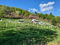 Smanjeni pregled verzije na dan 22:30, 15 maj 2022