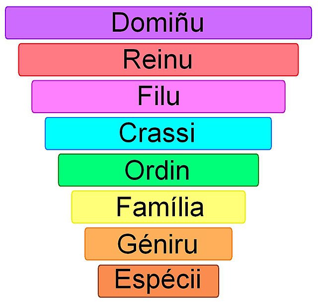 Posición del reinu en la crassificación científica