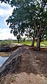 Thattan mudi lake