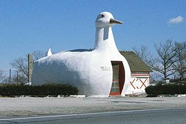 The Big Duck Farm, Flanders