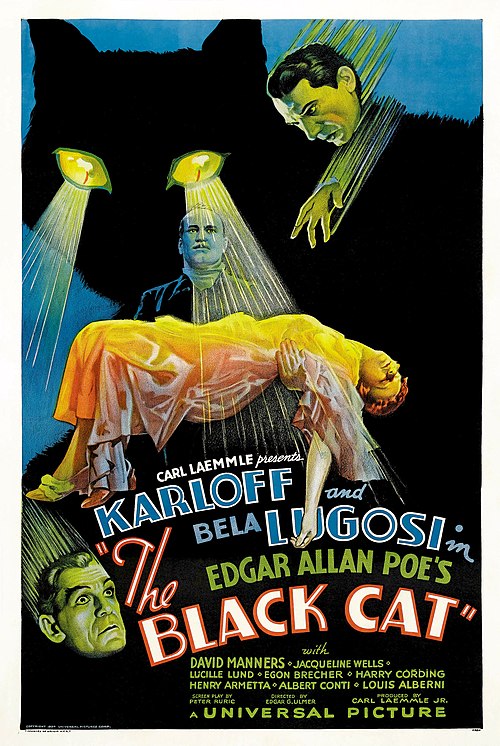 The Black Cat (1934), an early psychological horror film that adapts a story by Edgar Allan Poe