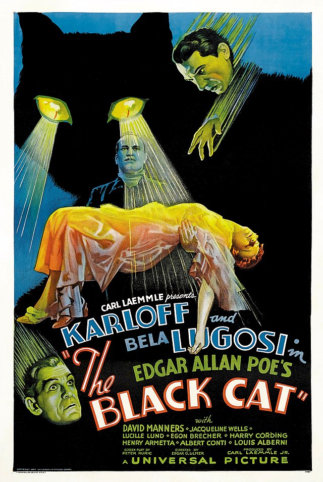 Description de l'image The Black Cat (1934 poster - Style D).jpg.