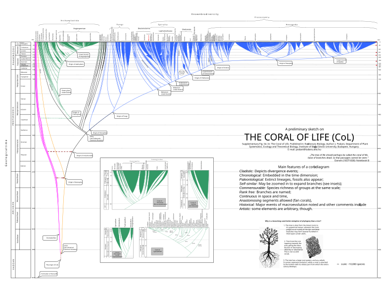 File:The Coral Of Life Prototype.svg