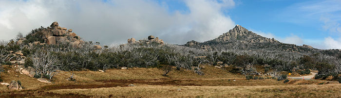 Panoramic view across the Mt Buffalo plateau, with The Horn towards image right; the safety railing for walkers can be seen at the top