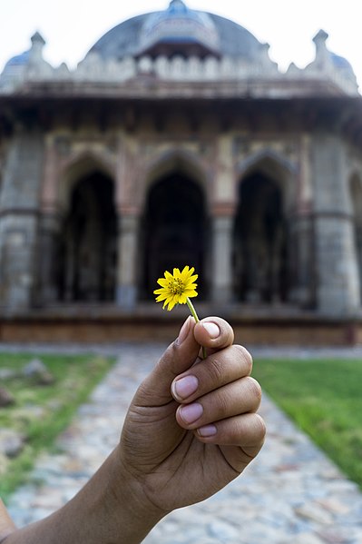 File:The cherishing amber.jpg