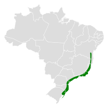 Map of Brazil with dark green shading indicating the species occurs along the southeastern coast of the country