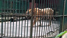 Thiruvananthapuram Zoo - Wikipedia
