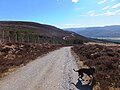 Miniatuur voor Bestand:Track below Little Wyvis - geograph.org.uk - 5337674.jpg