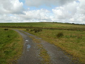 Track through grazing land near Coelbren - geograph.org.uk - 2586914.jpg