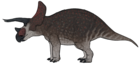 Triceratops horridus.png