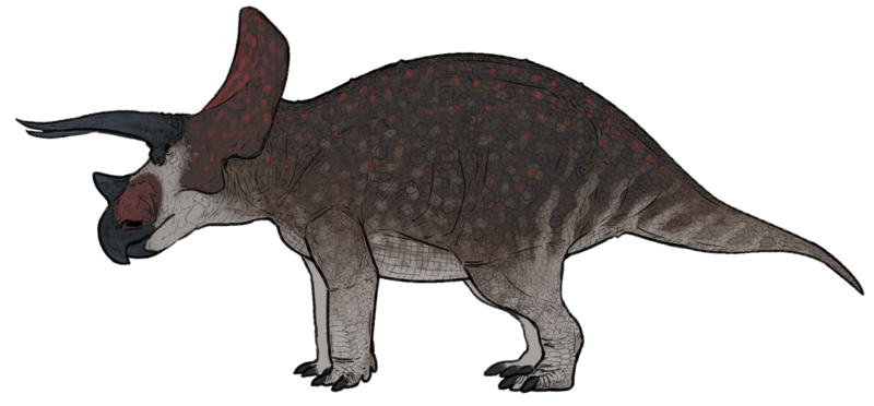 File:Triceratops horridus.png