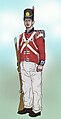 British 23rd regiment, 1815.