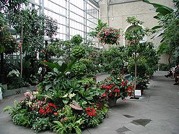 Inne i United States Botanic Garden