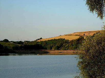 How to get to Ulley Reservoir with public transport- About the place