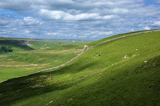 Upper Wharfedale - geograph.org.uk - 1351589