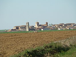 Tamariz de Campos