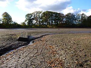 Cattle pond with boat.JPG