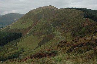 <span class="mw-page-title-main">Foel Dinas</span> Mountain in Wales