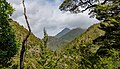 * Nomination View towards Mt Patriarch from Wangapeka Track, Kahurangi --Podzemnik 00:43, 8 April 2020 (UTC) * Promotion  Support Good quality -- Johann Jaritz 03:00, 8 April 2020 (UTC)