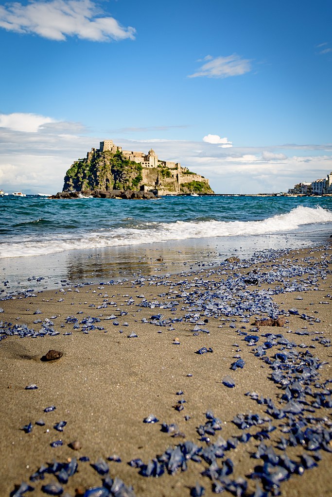 Ile d'Ischia au large de Naples : Vue sur le chateau depuis la plage dei Pescatori - Photo de Vincenzo Corbo