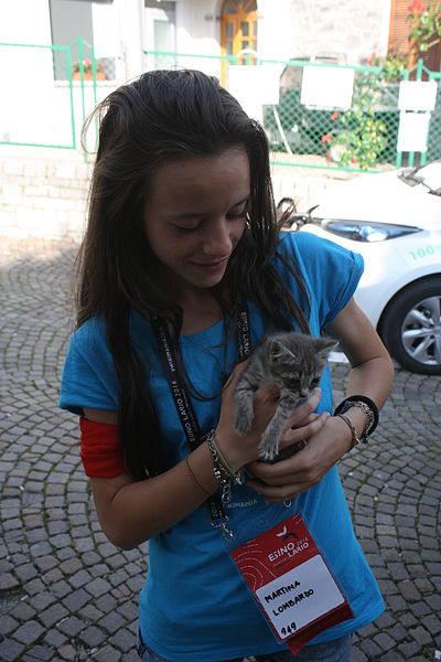 File:Volunteer and kitten at Wikimania 2016.jpg