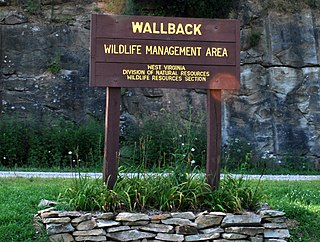 <span class="mw-page-title-main">Wallback Wildlife Management Area</span> State Wildlife Management Area in Clay, Kanawha, and Roane counties, West Virginia