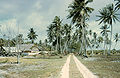 Typická silnice, ostrov Teraina