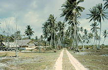 Route et maisons sur l'atoll.