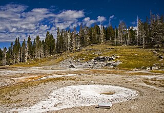 <span class="mw-page-title-main">West Triplet Geyser</span> Geyser in the Upper Geyser Basin of Yellowstone National Park